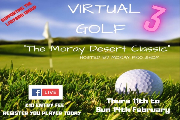 Virtual golf 3