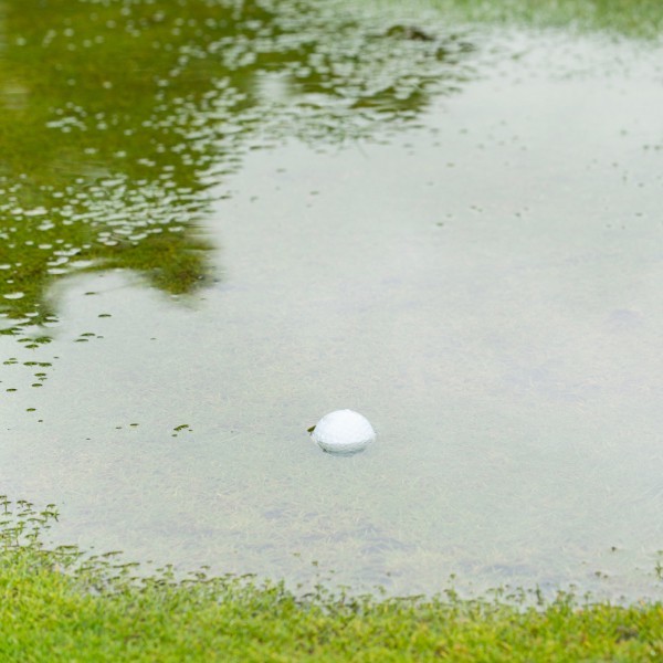 Golf ball in standing water